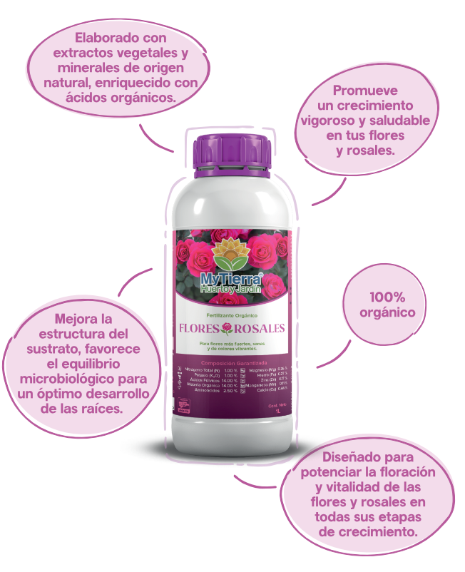 FloresRosales-img2.png