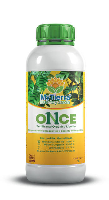 Once-img1.png