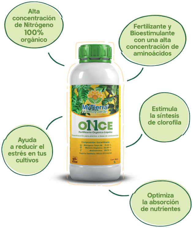 once-img2.png